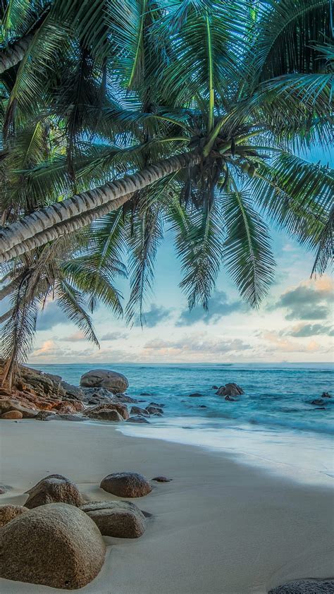 1920x1080px 1080p Free Download Maldive Islands Beach Summer Palm