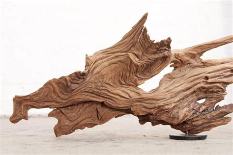 Piece Of Driftwood On Iron Base Organic Mid Century Modern