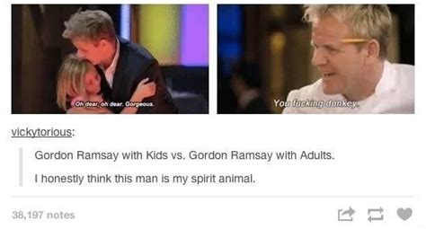 Gordon Ramsey Is My Spirit Animal Funsubstance Tumblr Funny