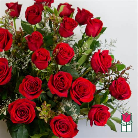 Beretanias 2 Doz Extra Long Stem Red Rose Bouquet In