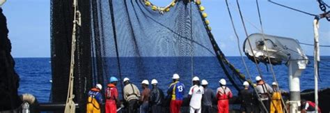 Aenor Lanza Su Nueva Web Para Impulsar El Sello Atún De Pesca