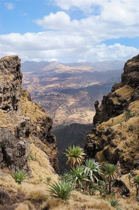 Ethiopia Simien Mountains National Park Bild Kaufen 70311324