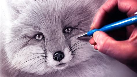 How To Draw A Realistic Fox Step By Step