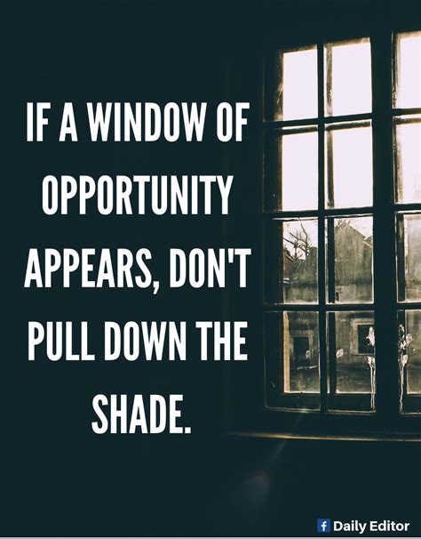 If A Window Of Opportunity Appears Dont Pull Down The Shade