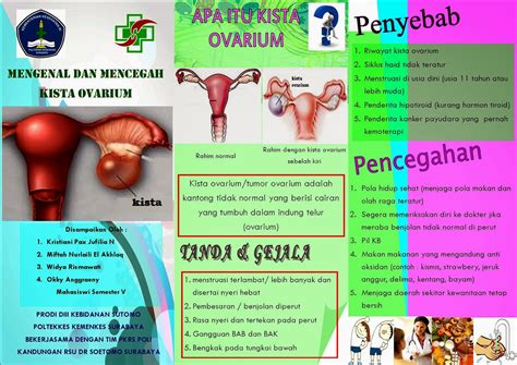 Leaflet Kista Ovarium Docx Gambaran