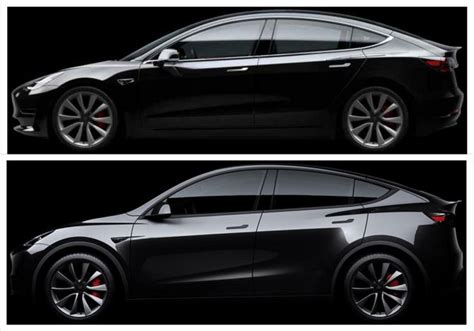 Tesla Model Y And Model 3 Visual Comparison Side By Side Morphing
