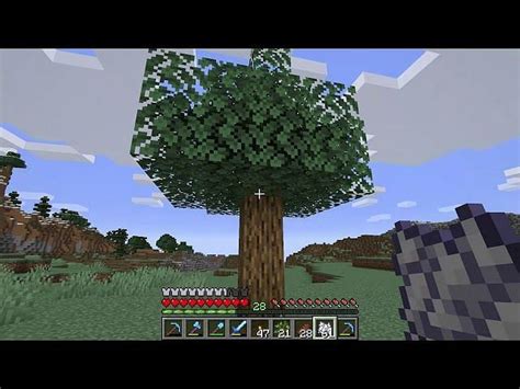 How To Make Trees Grow Faster In Minecraft 118
