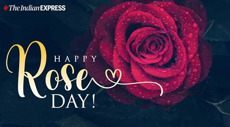 Because here we have lots of ideas for celebrating the world on nurses week. Happy Rose Day 2021: Wishes Images, Quotes, Status, HD ...