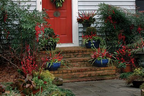 The Best Winter Containers From Outdoor Planters To Window