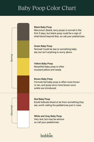 Baby Poop Chart Your Guide To Baby Poop Colors Bobbie