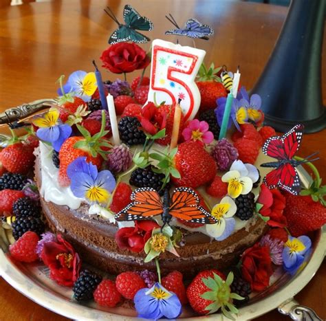 Like us, are you the kind of baking enthusiasts who adore making combination recipes, where two desserts meet in one fish to. Healthy Birthday Cake recipe with Milk Thistle & Rose Hips (GFCFSF)