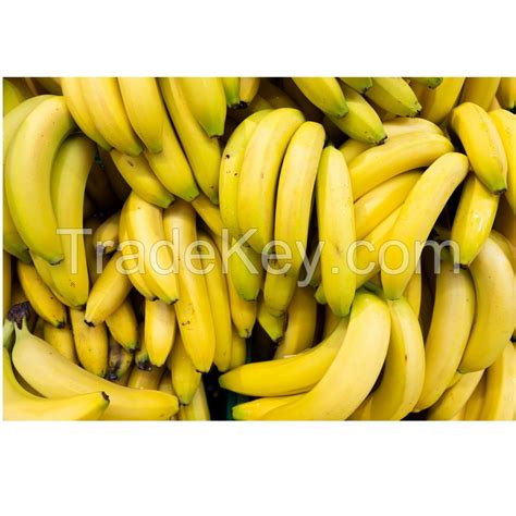 Full Nutrition Fresh Green Banana Increase Muscles Organic Long Yellow