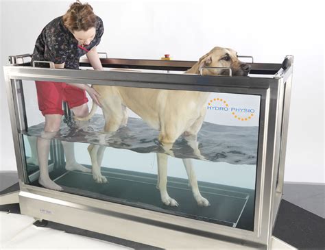 Canine Hydrotherapy Treadmill Technik Veterinary Peacecommissionkdsg