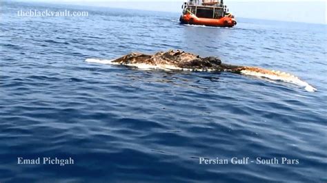 Unknown Sea Creature Filmed In Persian Gulf Youtube