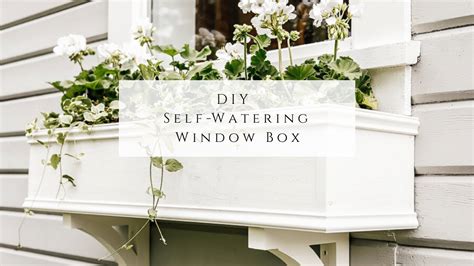 Diy Self Watering Window Box Youtube