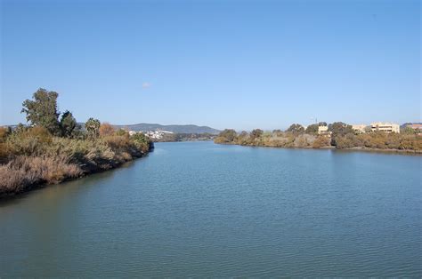 Estuario Río Guadiaro N 340