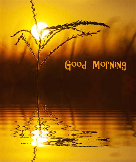 Sunrise Good Morning Images Morning Kindness Quotes