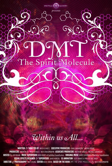 Dmt The Spirit Molecule 2010