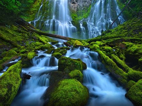 Beautiful Waterfall Rocks Green Moss Proxy Falls Eugene Cascades