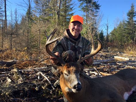Maine Deer Hunting Largest Whitetail Bucks Guided Hunts Semi Guided