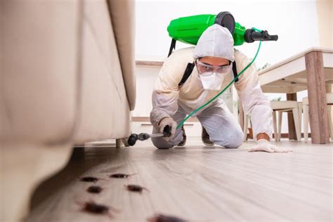 4 Pest Management Solutions For Commercial Properties Pride One