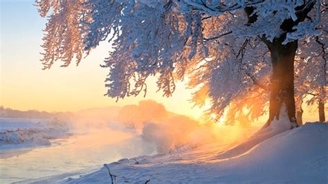 💖8 Hours😪beautiful Winter Snow Scene Relaxing Piano Sleep Music