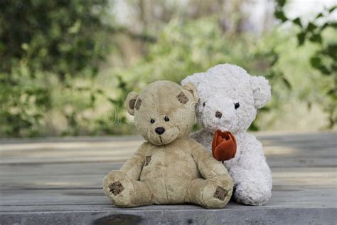 Teddy Bear Couple Stock Image Image Of Bear Embrace 69577791