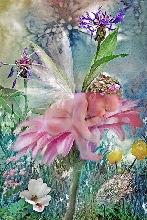 Fantasy Mermaids Fantasy Fairy Fantasy Artist Fairy Pictures Angel