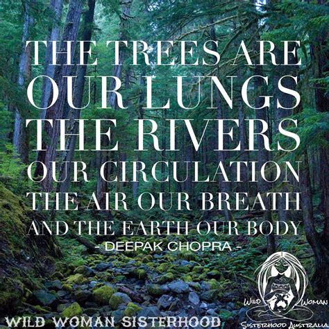 The Trees Are Our Lungs The Rivers Our Circulation The Air Our