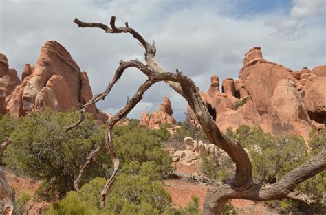 See 173 traveler reviews, 141 candid photos, and great deals for devil's garden campground, ranked #1 of 1 specialty lodging in arches national park and rated 4.5 of 5 at tripadvisor. Arches National Park, Devils Garden, Moab Utah - Where are ...
