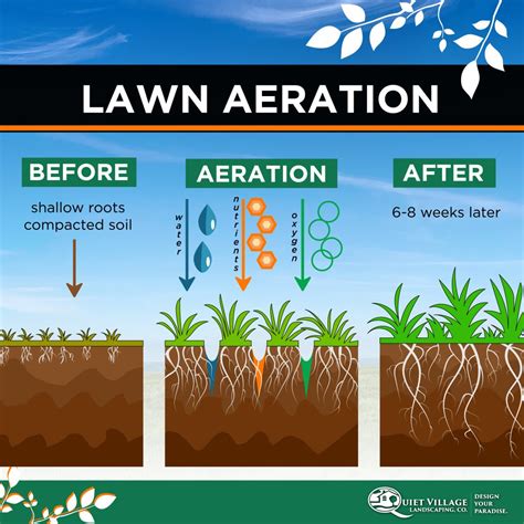 You can also use your ortho dial n spray and blanket app the lawn quite easily. Why Lawn Aeration is Key to a Healthy, Green Lawn