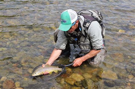 You can get by within 1 to 2 weights of the ideal rod/line weight for a piece of water. Jay Scott Outdoors: Jackson Hole Wyoming Fly Fishing Photos 10