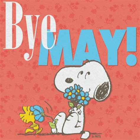 June Bye Bye May Welcome June Snoopy And Woodstock Snoopy Liebe