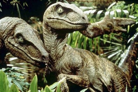 Jurassic Park Velociraptor Quotes Quotesgram