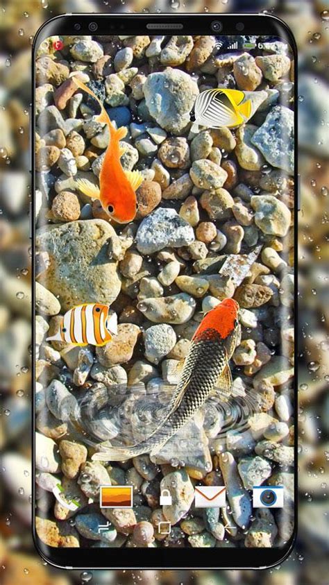 The new official twitch app. Kai Fish Live Wallpaper 3D: Fish Aquarium in Phone for ...