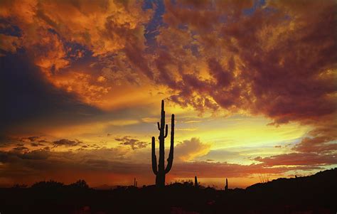 The Beauty Of The Desert Skies Photograph By Saija Lehtonen
