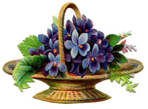 There is something for everyone. Vintage Graphic - Basket of Violets - The Graphics Fairy