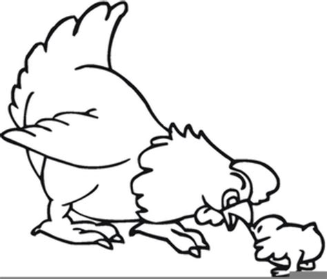 Download High Quality Chicken Clipart Black And White Royalty Free