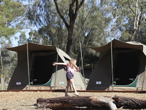 Book Taronga Western Plains Zoo Billabong Camp Dubbo 2019 Prices