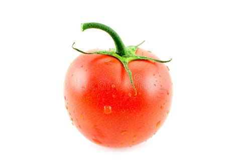 One Whole Tomato Stock Photo Image Of Fresh Freshness 11710240