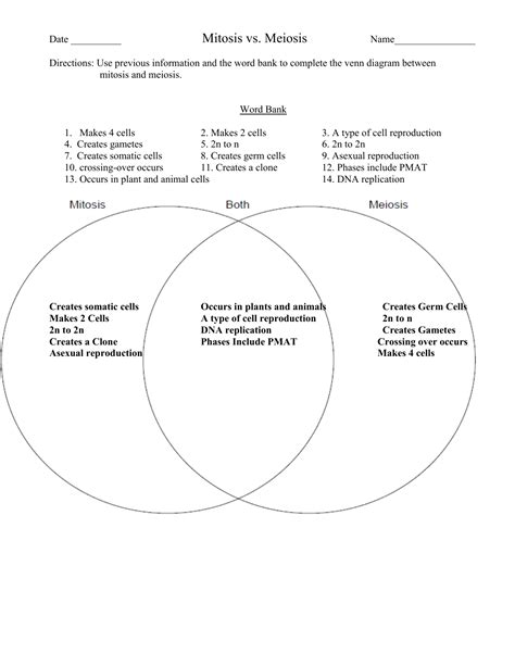 Mitosis Vs Meiosis Venn Diagram Answers Answers Vs Mitosis Meiosis