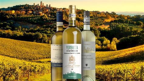 3 Most Popular Tuscan White Wines Tasteatlas