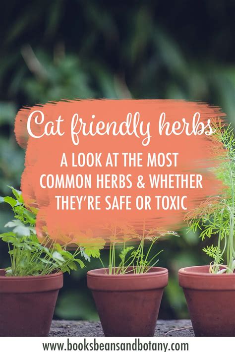 Herbs Safe For Cats A Comprehensive List Of The Safe Vs Toxic Herbs