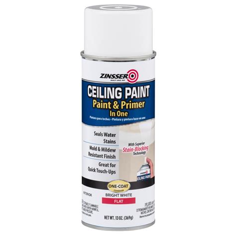 Sep 13, 2010 · set the sprayer correctly. Zinsser 13 oz. Ceiling Paint and Primer in One Spray (6 ...