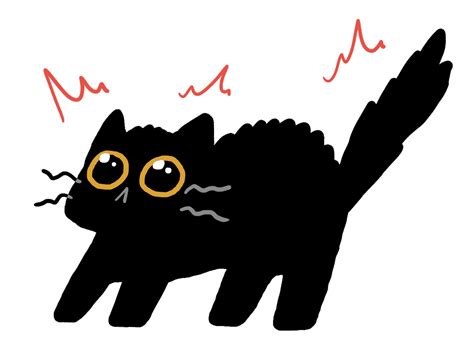 Cat Cartoon Images  Cat Meme Stock Pictures And Photos