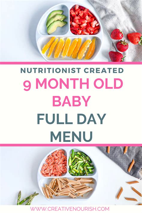 9 Month Old Baby Food Chart Food Menu And Recipes Baby Food Recipes