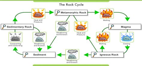 Play the role of a piece of rock moving through the rock cycle. The Rock Cycle