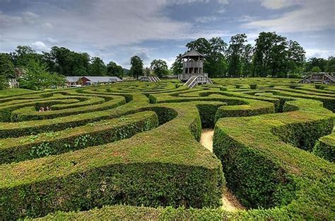 Beauty Will Save Longleat Maze Longest Hedge Maze In The World Beauty