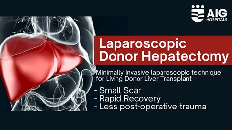 laparoscopic donor hepatectomy minimally invasive liver transplant aig hospitals youtube