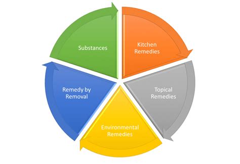 Natural Remedies - RobinRayGreen | Chinese medicine, Medicine wheel, Medicine